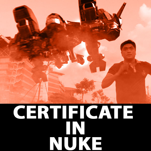 Certificate in Nuke